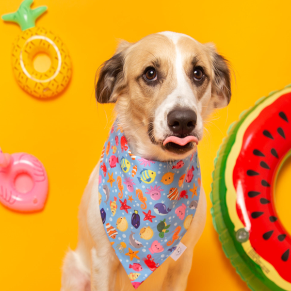 Bandana Bajo el mar estampada talla XS para mascota