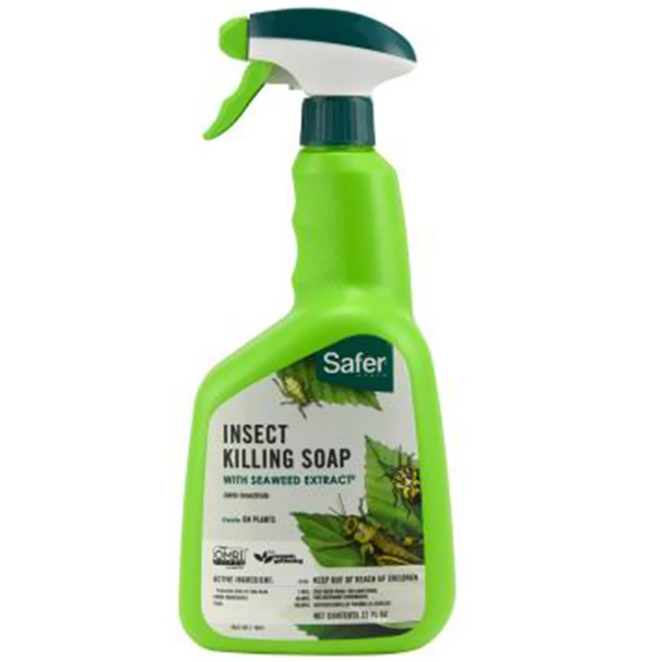 Jabón insecticida plantas aerosol 32 oz