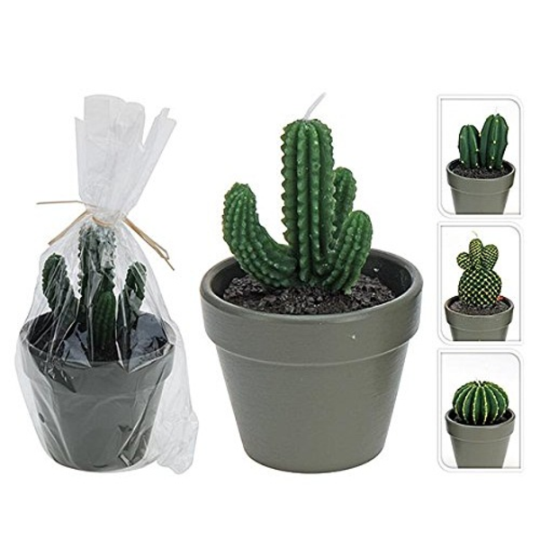 Vela de cactus con diseños surtidos