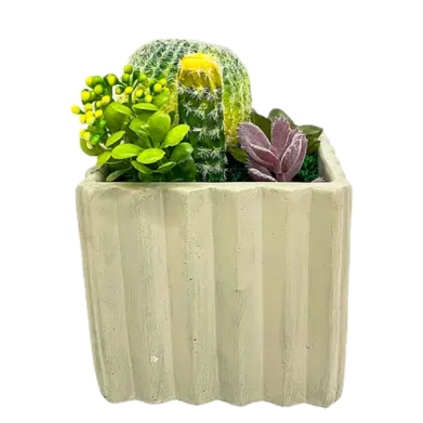 Plantas artificial con pote texturizado rectangular