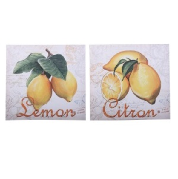 Cuadro de Limones 30 x 30 cm surtidos - Concepts