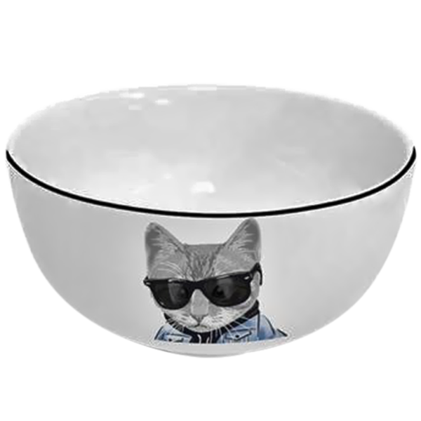 Bowl de cerámica con diseño de Gato cool