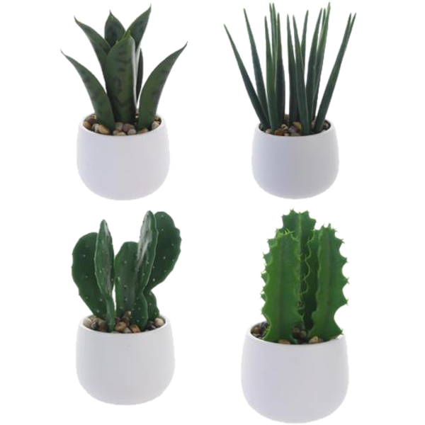 Planta artificial Cactus con pote color blanco - Surtidas