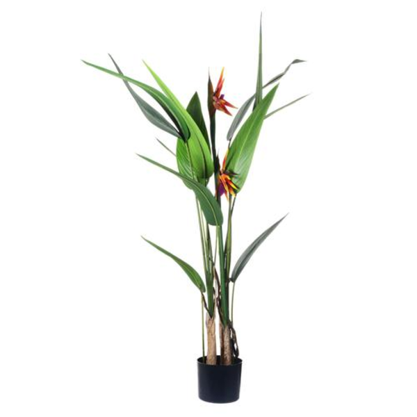 Planta con pote 125cm x 40cm decorativa Gallitos