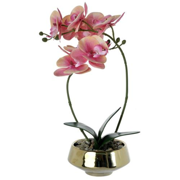 Orquídea rosa con pote color dorado