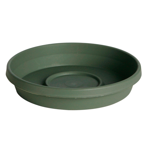 Base para pote redondo de 203 mm verde oliva de  plástico 8 pulg.