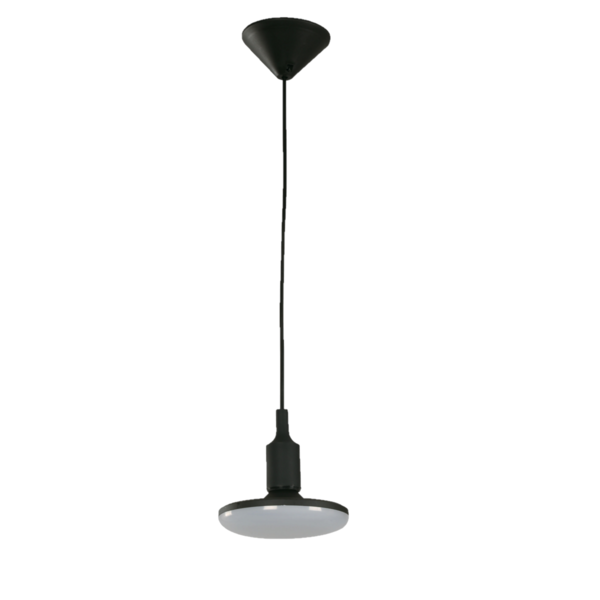 Lámpara colgante negra de 1 luz E27 20W