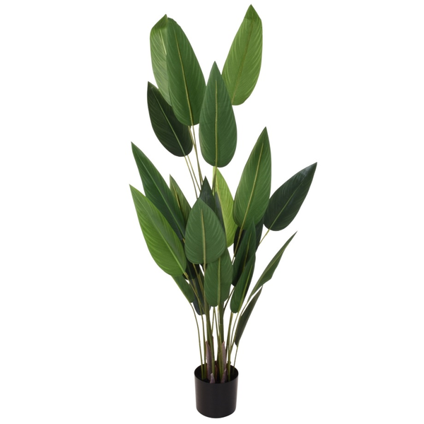 Planta artificial en pote de 175cm