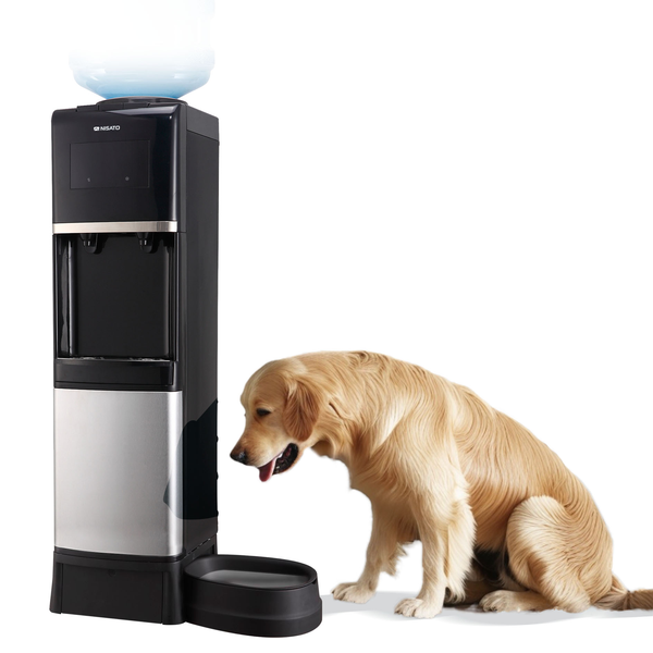 Dispensador de agua con anexo para mascota