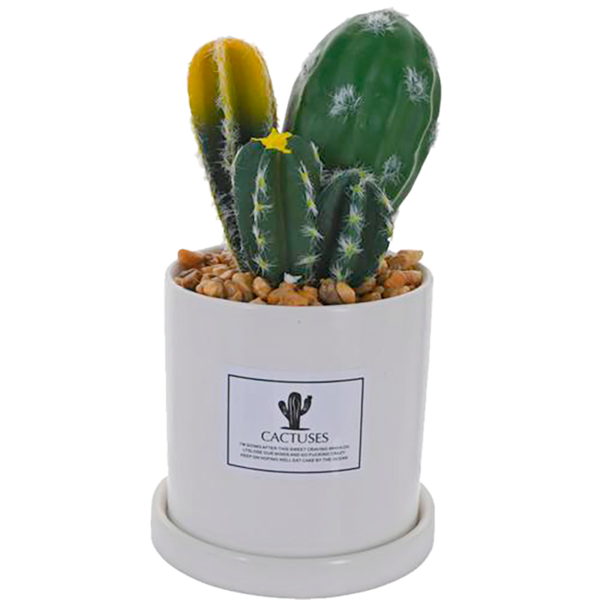 Planta artificial Cactus con pote alto color blanco