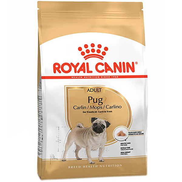 Alimento seco de 1.5kg para perros adultos de raza Pug ROYAL CANIN