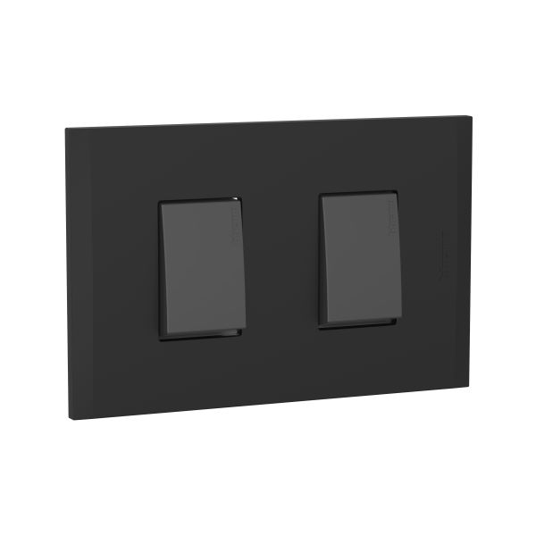 Interruptor doble 1p 15amp. color negro